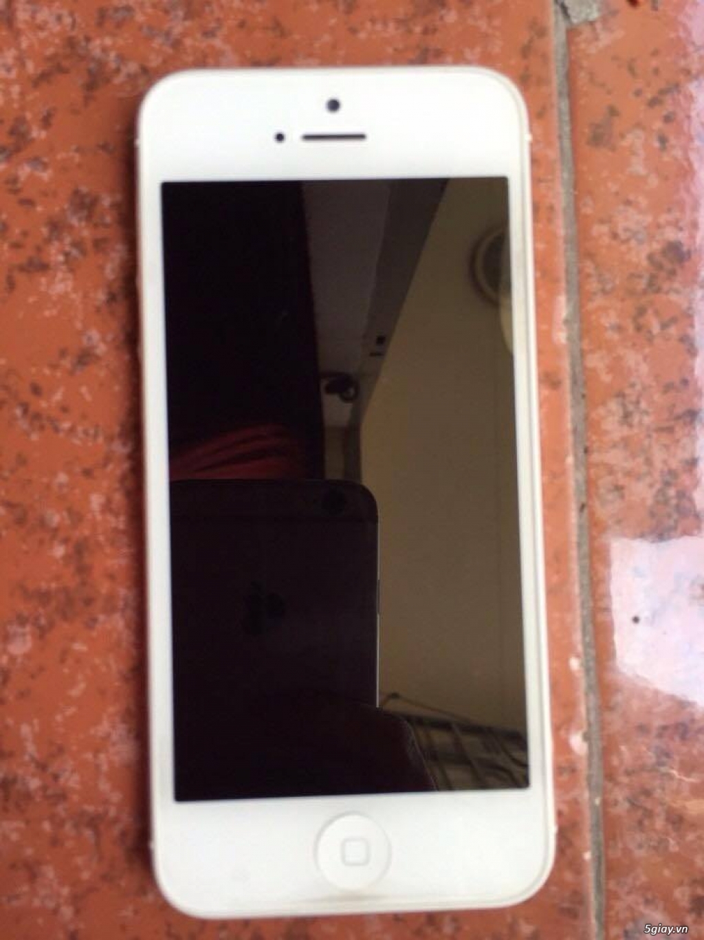 Cần Bán Iphone 5 White 16GB Quốc Tế - 1