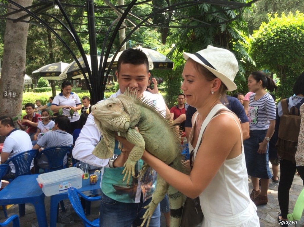 Trại Bò Sát Iguana rồng nam mỹ - sinh sản tại Vietnam - 8