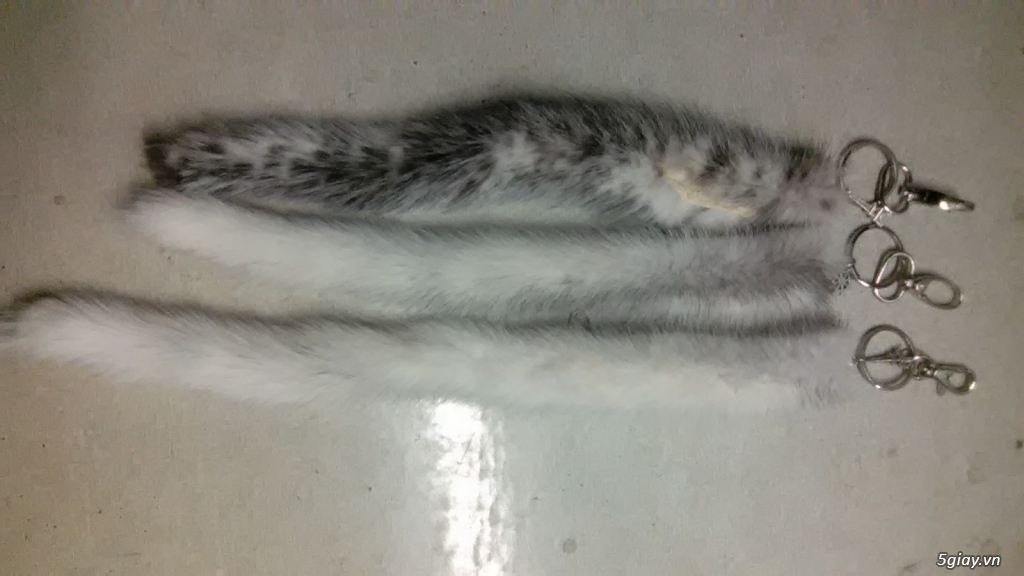 Bán da đuôi chồn làm móc khóa(da thật100%) - 5