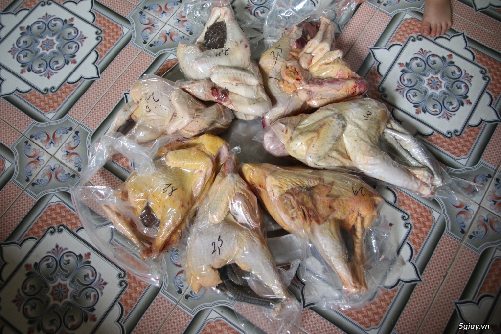 Trang trại gà sạch - Nơi cung cấp thịt gà sạch chất lượng nhất tại Hà Nội - 2