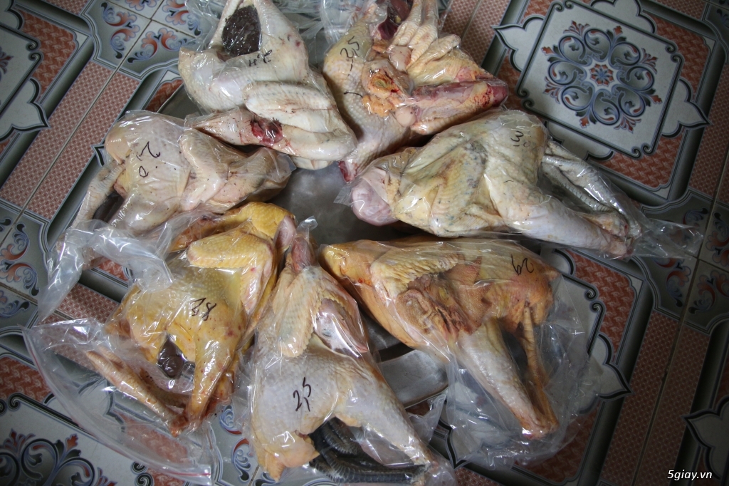 Trang trại gà sạch - Nơi cung cấp thịt gà sạch chất lượng nhất tại Hà Nội - 1