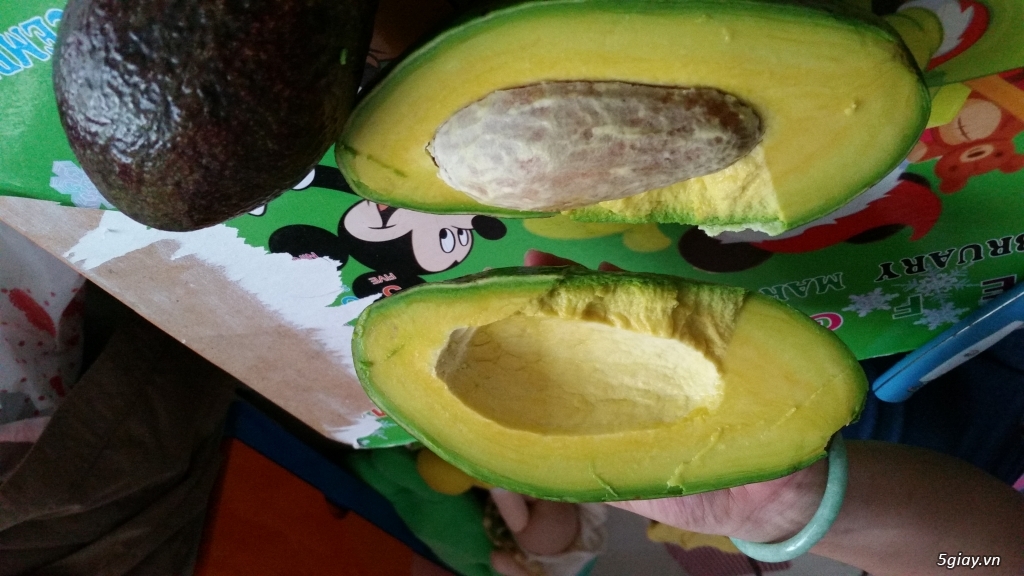 Bán sỉ và lẻ Bơ sáp Đà Lạt, cơm dày vàng béo, chỉ 55K/KG - 3