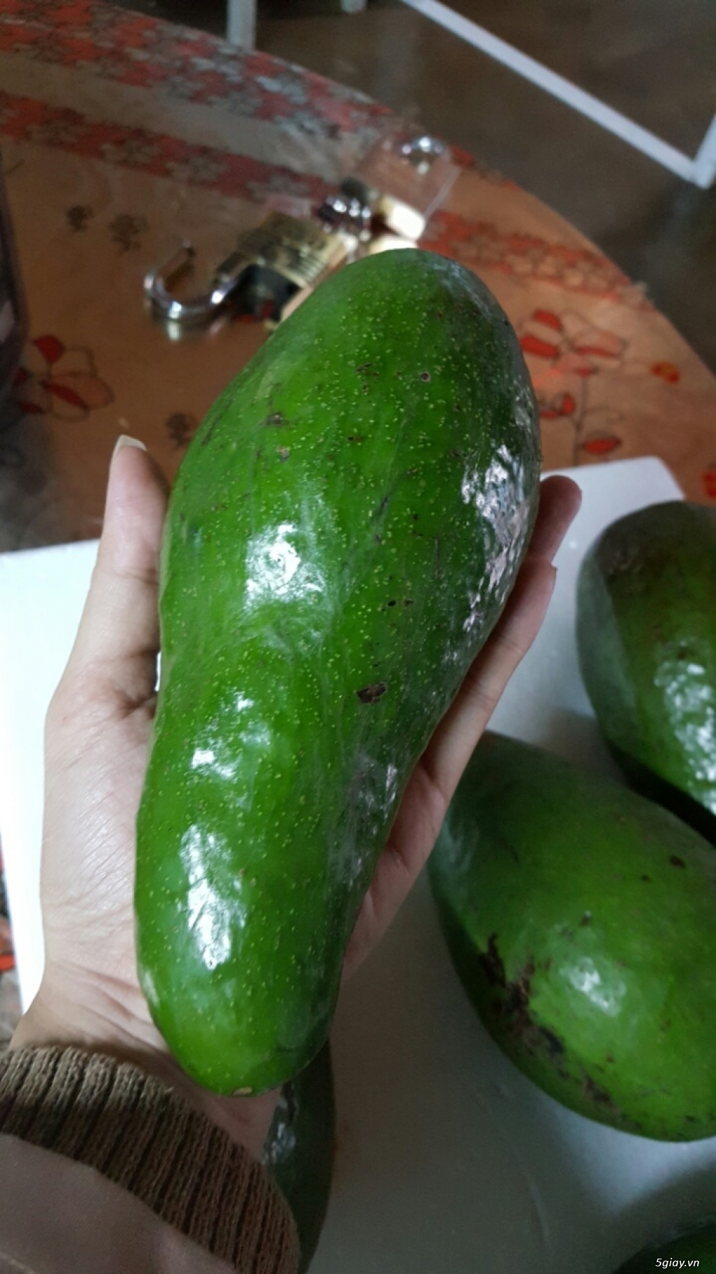 Bán sỉ và lẻ Bơ sáp Đà Lạt, cơm dày vàng béo, chỉ 55K/KG - 1