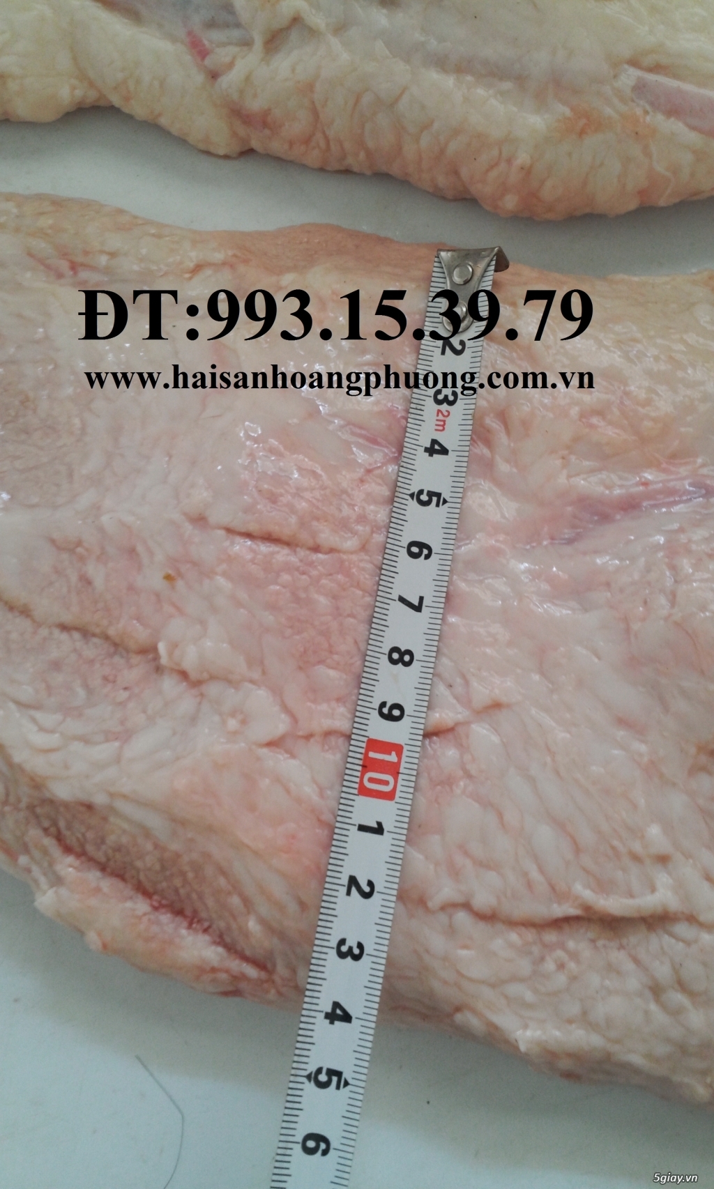 Bán Đùi Vịt - 2