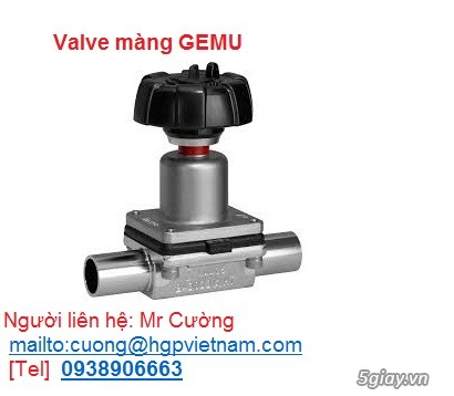 Gemu valve được phân phối chính tại Tp Hồ Chí Minh - 1