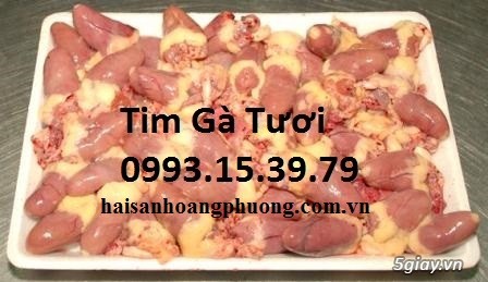 Bán Đùi Vịt - 36