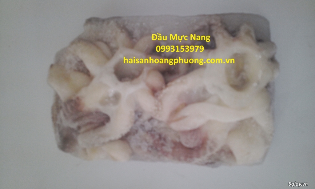 Bán Đùi Vịt - 20