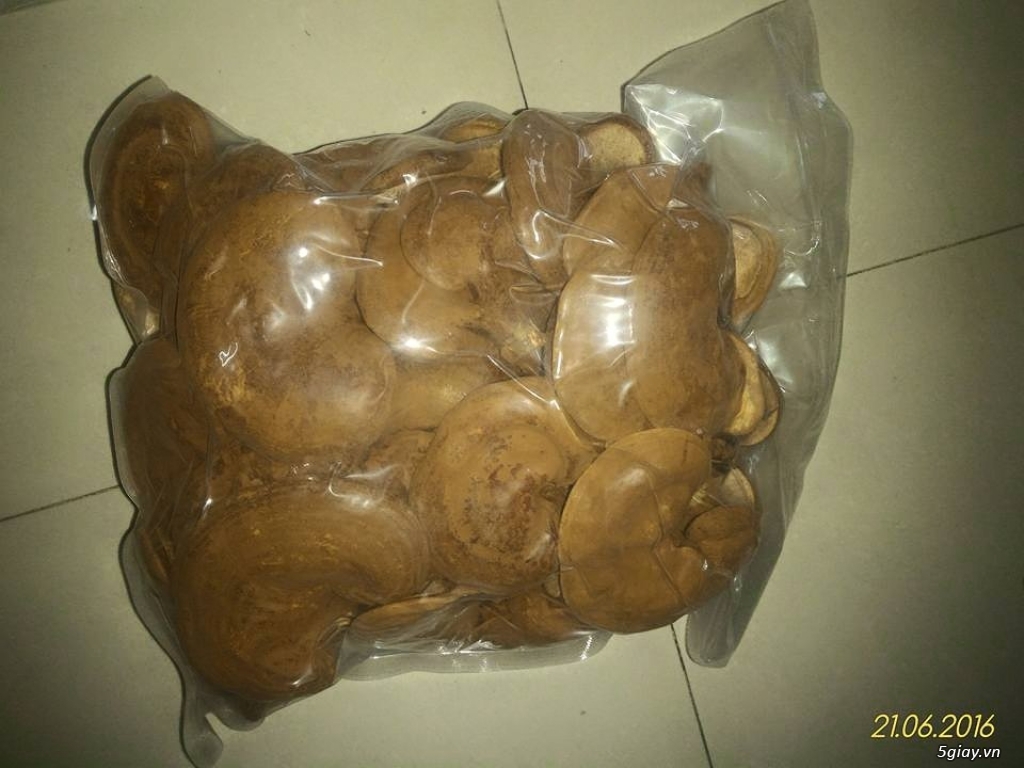 NẤM LINH CHI NHÀ TRỒNG - TỐT NHƯ NHÀ LÀM - 1
