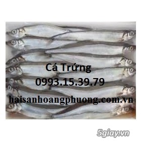 Bán Đùi Vịt - 15