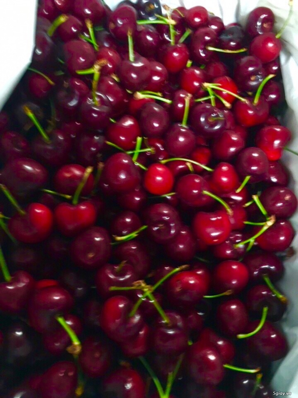 Bán cherry Mỹ giá rẻ nhất Sài Gòn