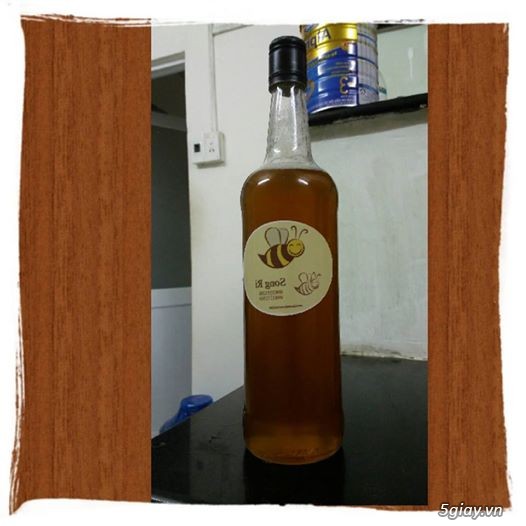 Mật ong nuôi hoa cafe và dầu tràm Thiên An - 2