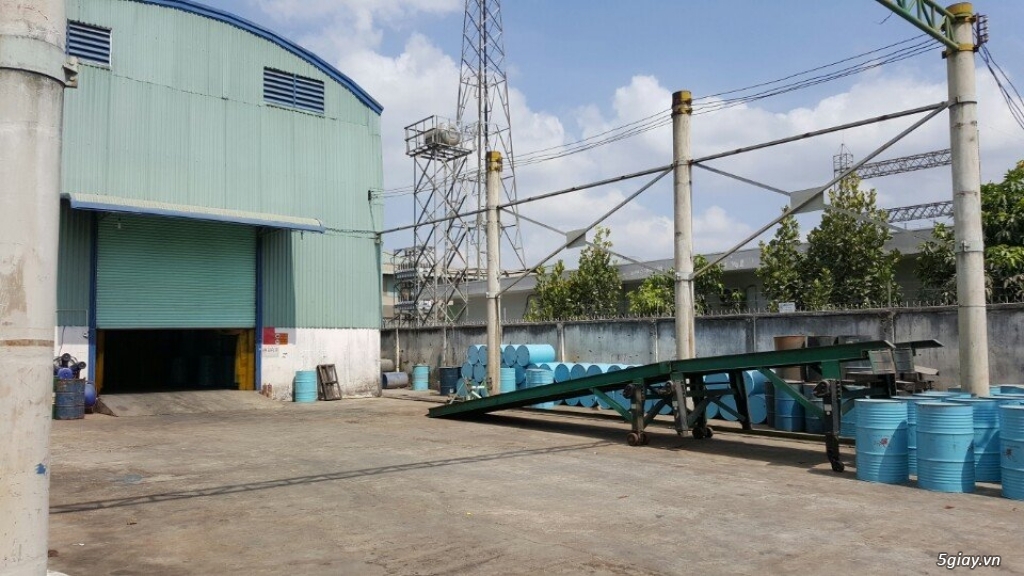 Mật ong nguyên chất giá chỉ 60.000vnđ/lít - 1