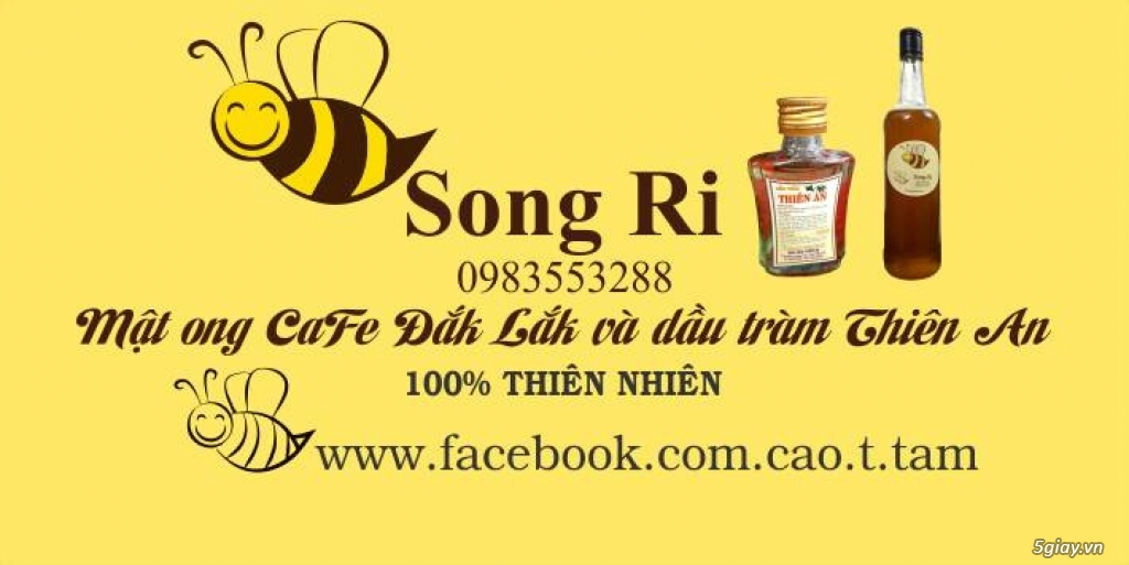 Mật ong nuôi hoa cafe và dầu tràm Thiên An