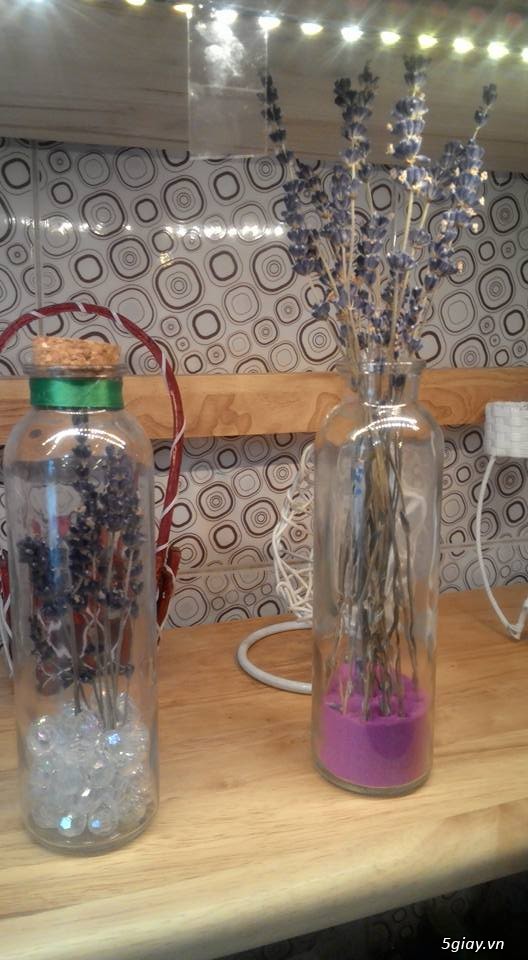 Hoa khô lavender và các loại hoa khô khác