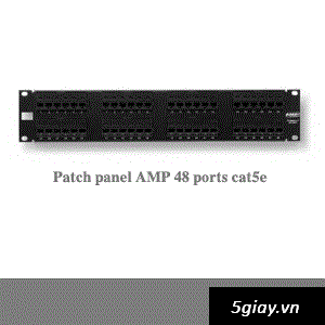 Phân phối Patch panel Thanh đấu nối patch panel AMP 24 cổng chân đồng giá tốt cho dự án - 4