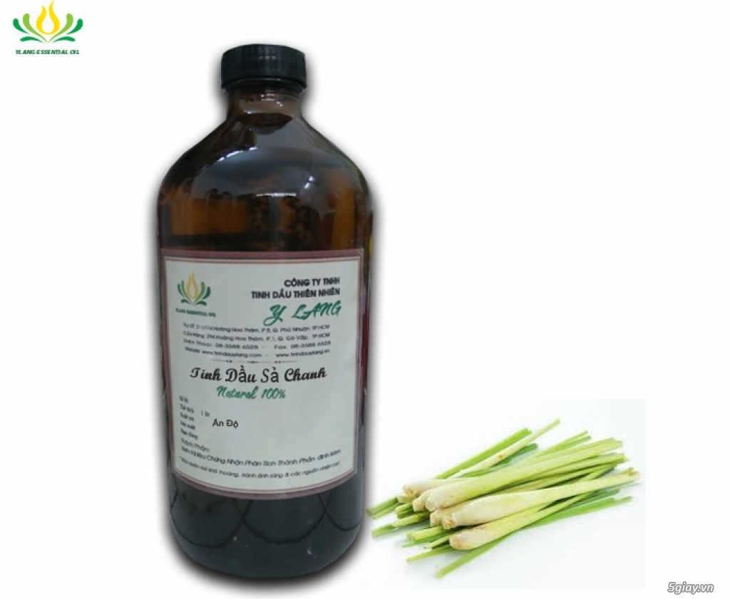 Tinh dầu Sả chanh