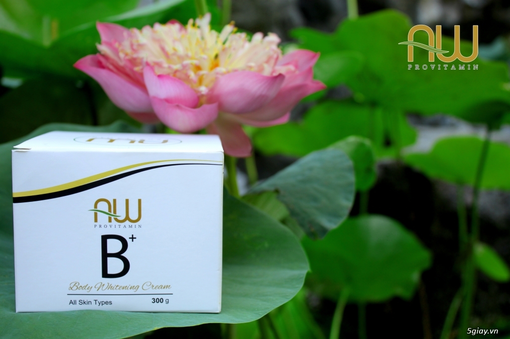Siêu phẩm AW Provitamin B+ ( Body Whitening Cream ) – Dòng sản phẩm chuyên về Vitamin từ dược liệu
