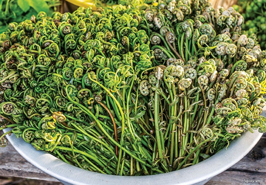 Đọt choại, chọt mây rừng - Hàng mới về nha bà con