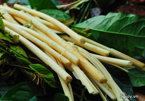 Đọt choại, chọt mây rừng - Hàng mới về nha bà con - 3