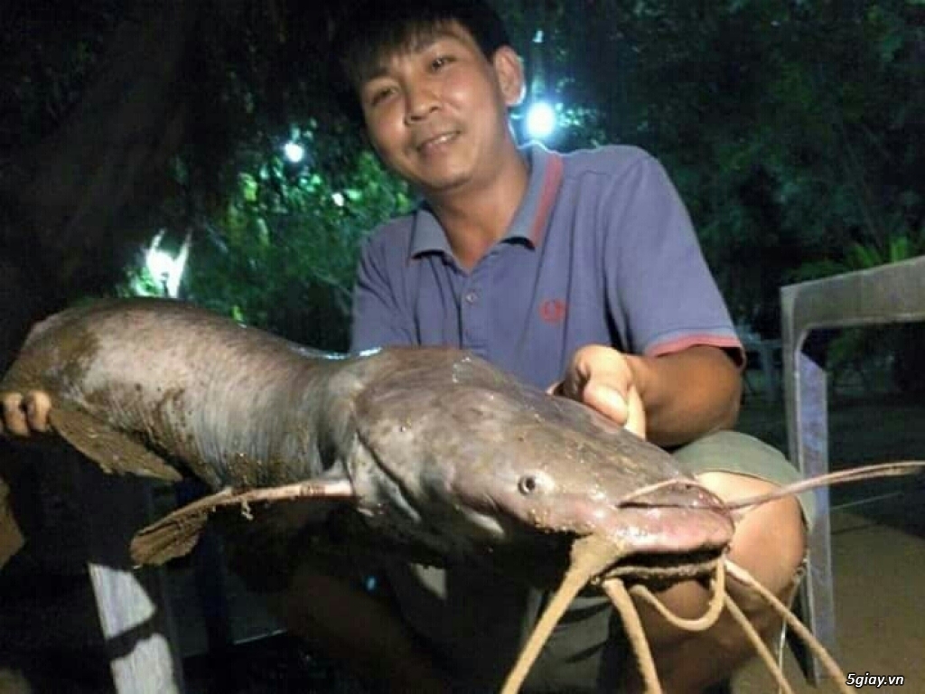 tư vấn mua cần câu câu ,hoặc địa chỉ uy tín