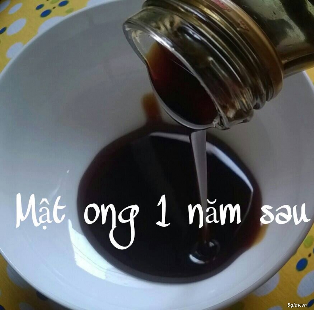 Mật ong nuôi nguyên chất sỉ và lẻ 100% giá rẻ - 1