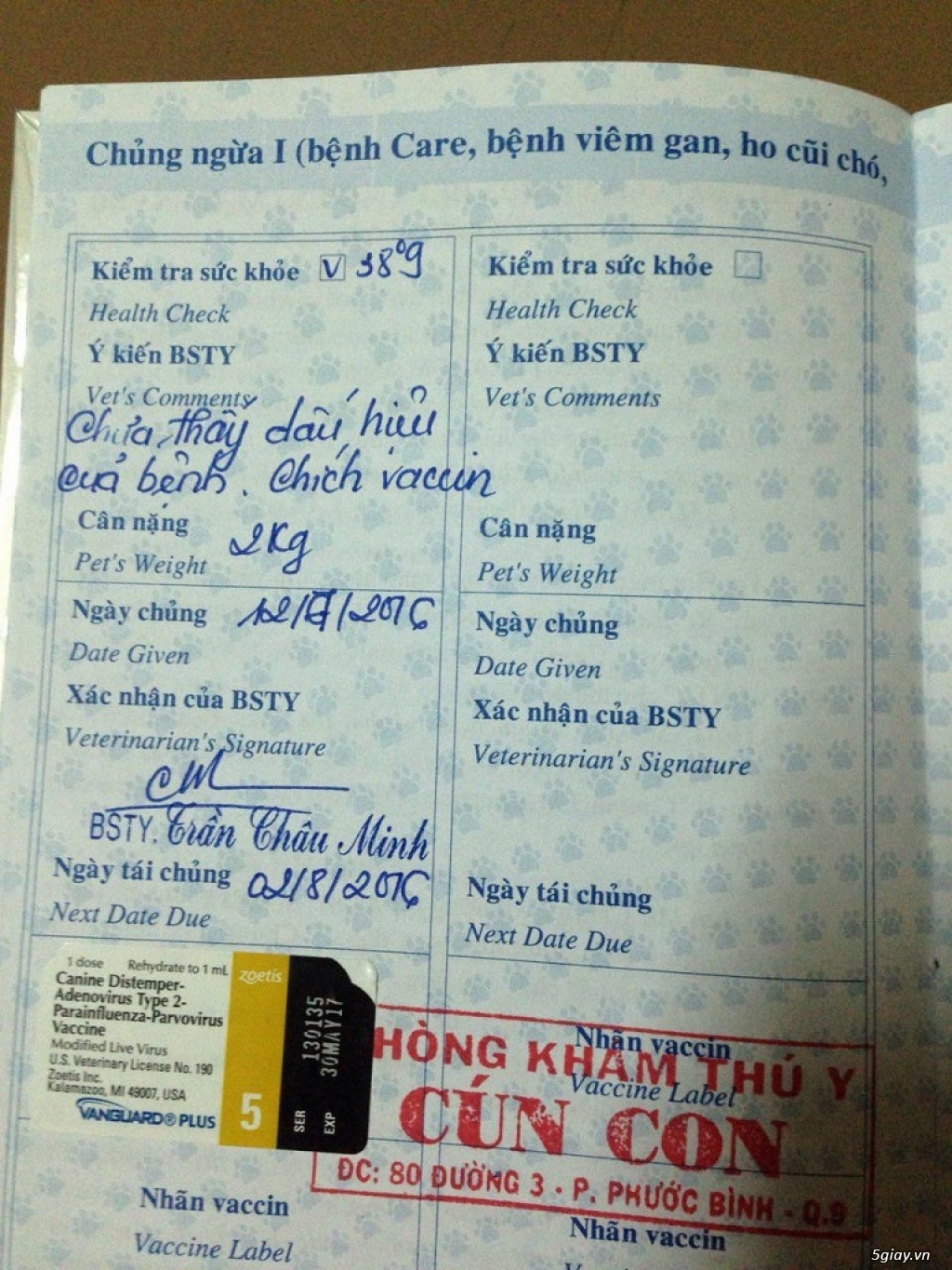 Q.9 chó Nhật giá rẻ !