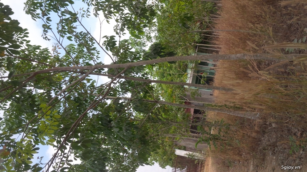 Bán đất gần đường Nguyễn Thị Rành