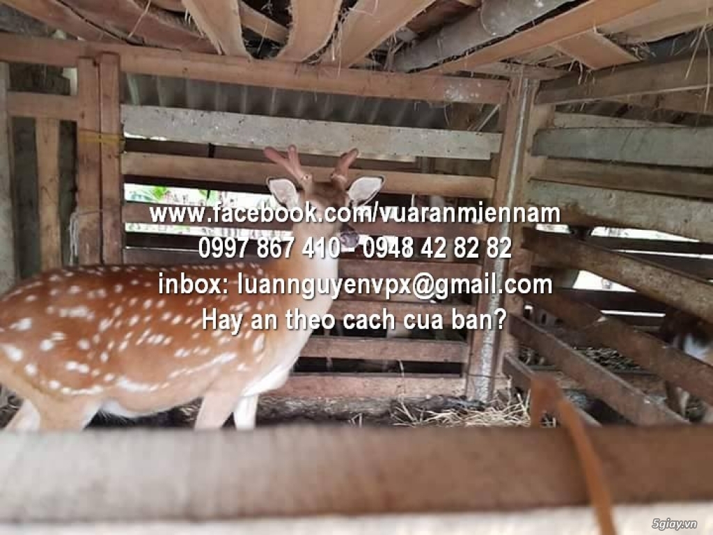 đặc sản miền tây, miên, lào - 1