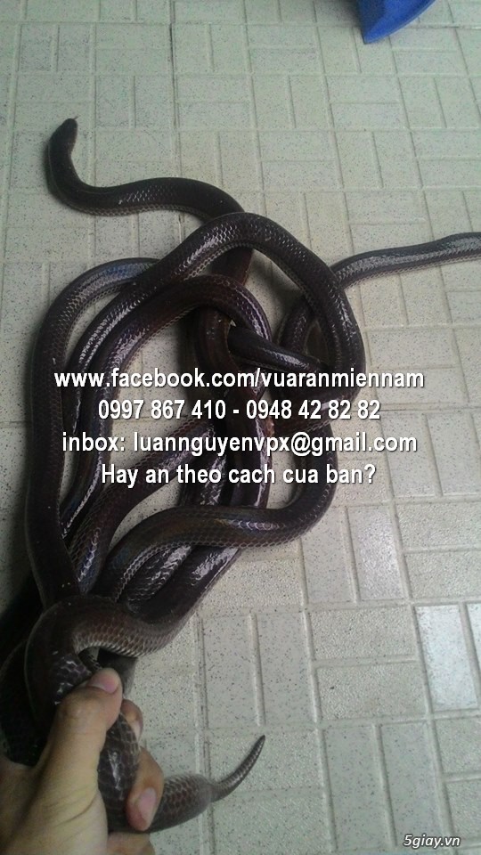 đặc sản miền tây, miên, lào - 3