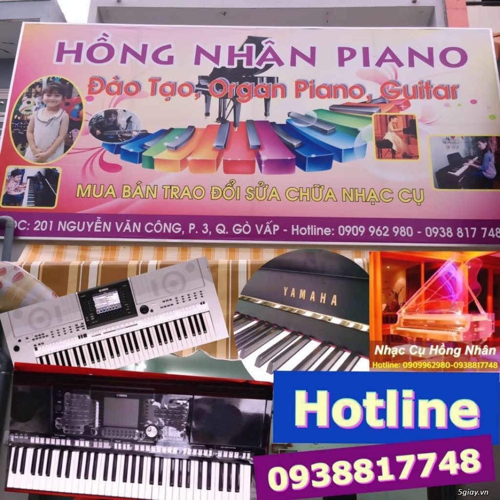 Piano Nhật Hồng Nhân - Organ Piano các loại