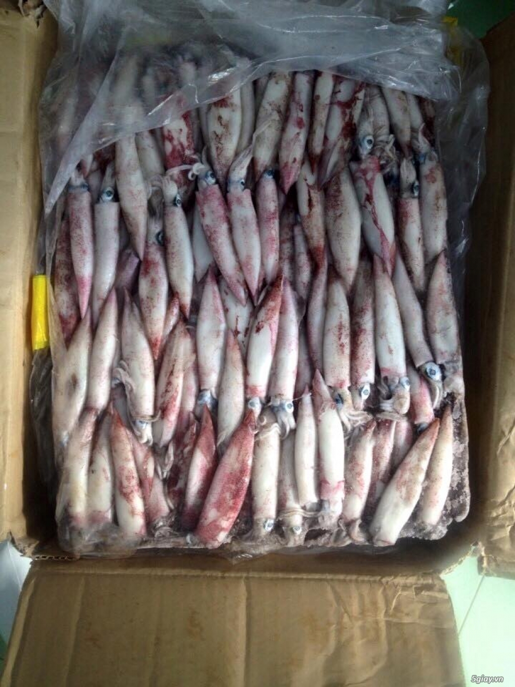 Cung cấp cá hồi cắt lát, cá hồi filet, cá viên,răng mực, cá bóp, cá bò da, basa file