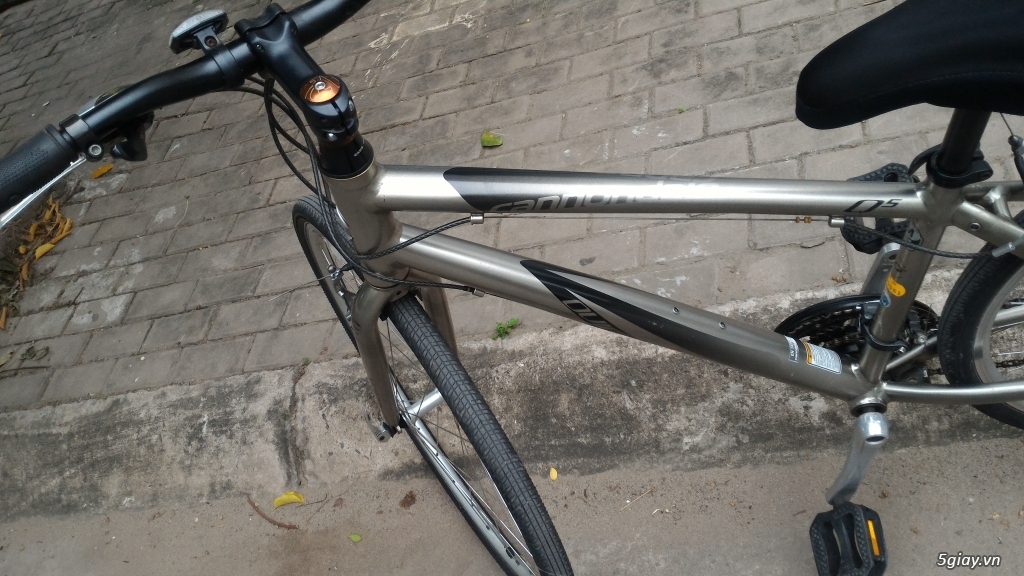 cannondale q5