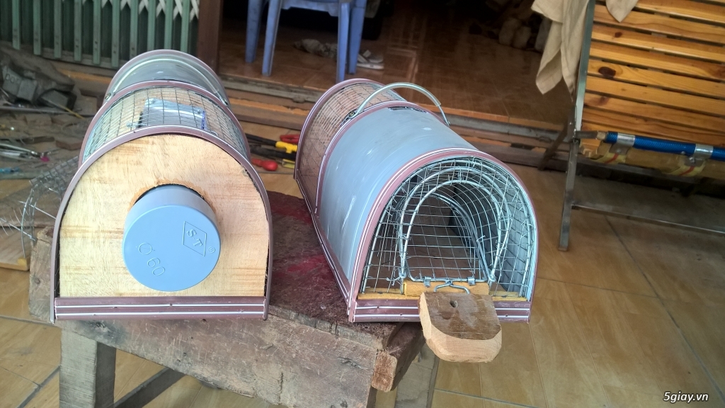 Bán bẫy chuột thông minh