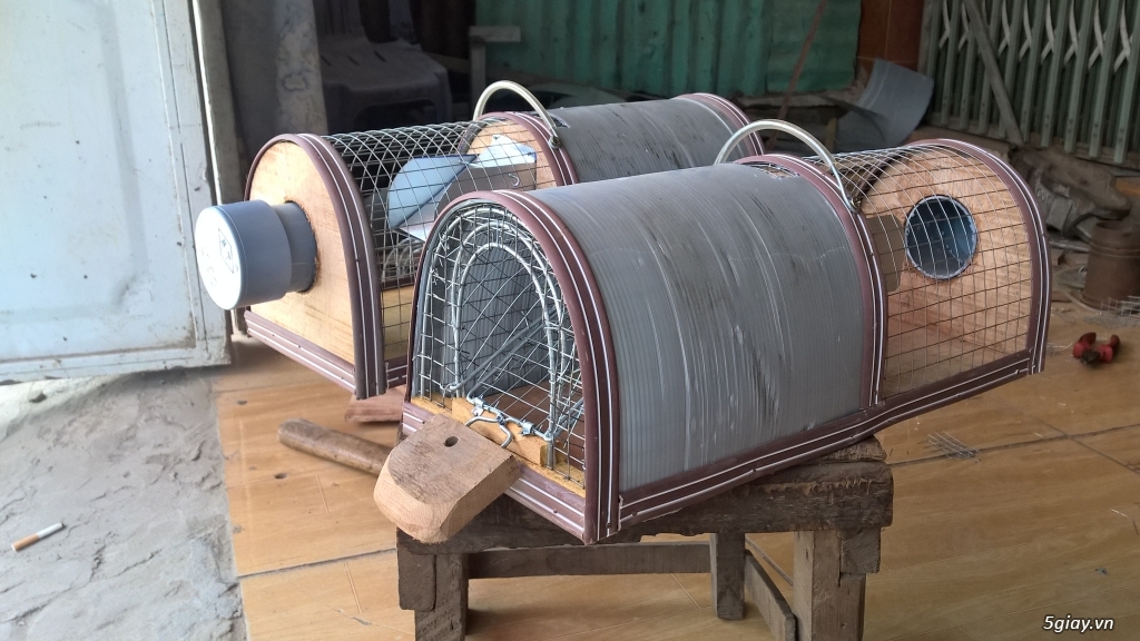 Bán bẫy chuột thông minh - 1