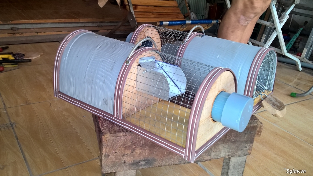 Bán bẫy chuột thông minh - 2