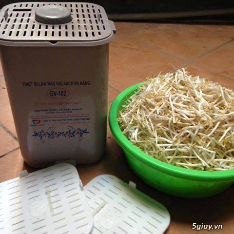 Thiết bị làm giá đỗ, rau mầm sạch đa năng GV 102 - Của TS Đỗ Ngọc Chung - 12