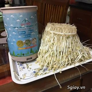 Thiết bị làm giá đỗ, rau mầm sạch đa năng GV 102 - Của TS Đỗ Ngọc Chung - 8