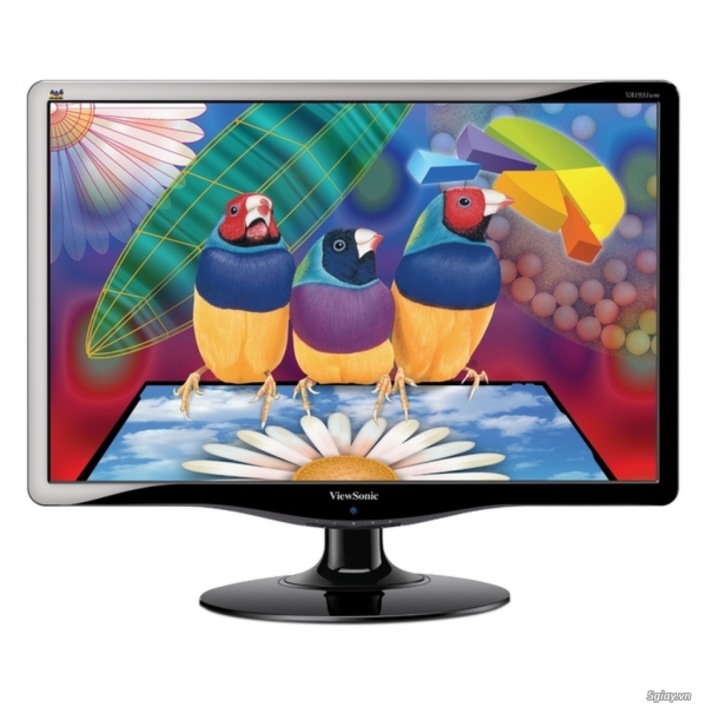 Màn hình LED 19inch wide Viewsonic VA1931wm-LED cực đẹp BH 6 tháng - 8