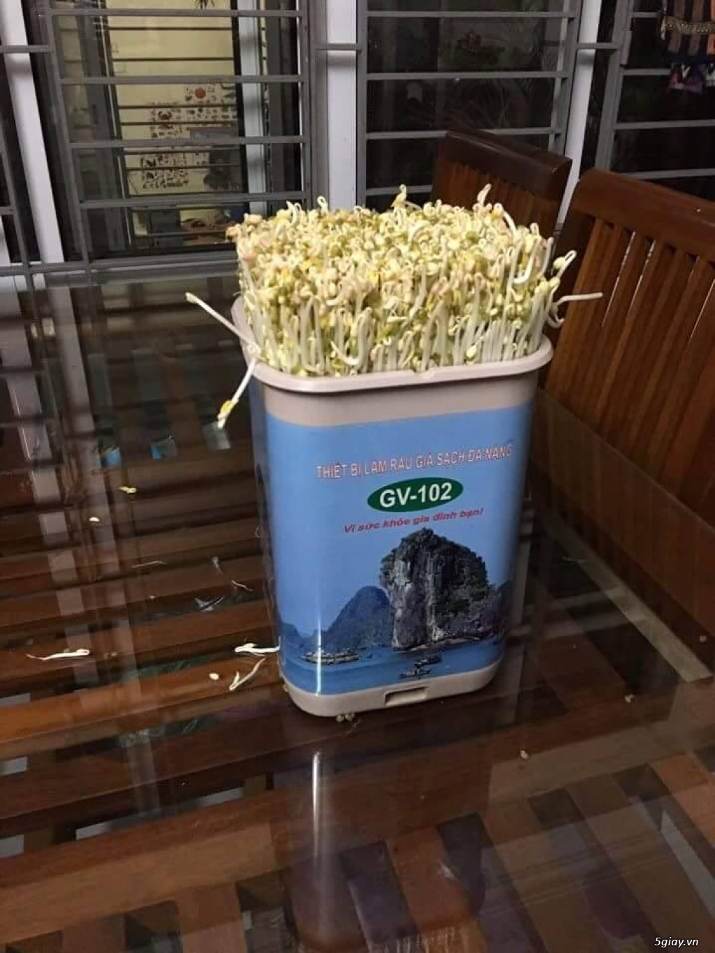 Thiết bị làm giá đỗ, rau mầm sạch đa năng GV 102 - Của TS Đỗ Ngọc Chung - 2