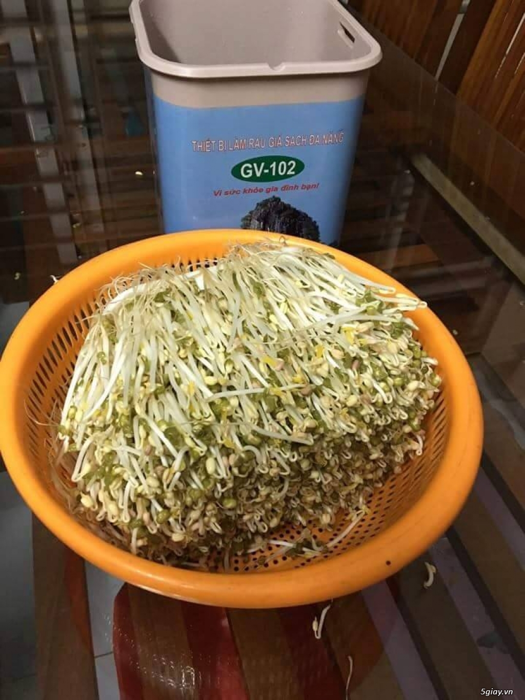 Thiết bị làm giá đỗ, rau mầm sạch đa năng GV 102 - Của TS Đỗ Ngọc Chung - 3