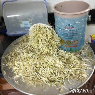 Thiết bị làm giá đỗ, rau mầm sạch đa năng GV 102 - Của TS Đỗ Ngọc Chung - 9