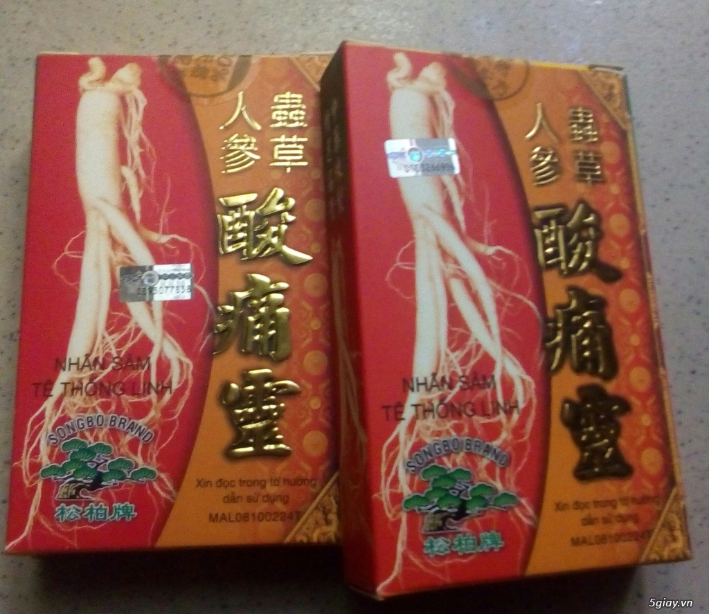 Cây kiểng trồng nước