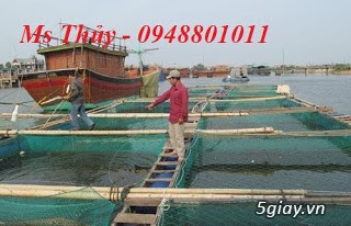 Lưới làm lồng nuôi các loại cá, lưới nhật cũ bền trên 5 năm