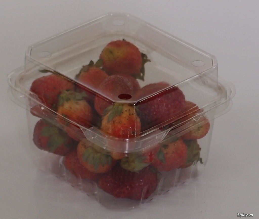 Chuyên cung cấp sỉ lẻ các loại khay nhựa trồng rau, hộp nhựa đựng bánh, rau mầm, hộp đựng đồ khô ... - 3