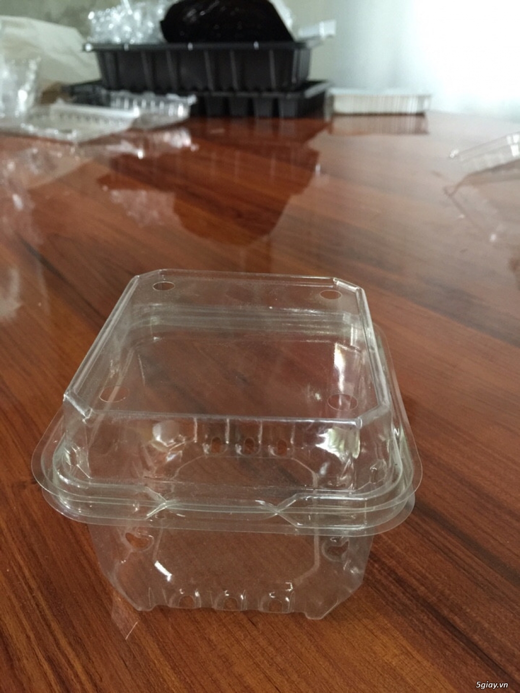 Chuyên cung cấp sỉ lẻ các loại khay nhựa trồng rau, hộp nhựa đựng bánh, rau mầm, hộp đựng đồ khô ... - 2