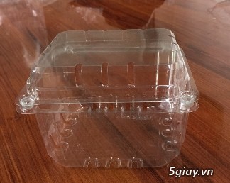 Chuyên cung cấp sỉ lẻ các loại khay nhựa trồng rau, hộp nhựa đựng bánh, rau mầm, hộp đựng đồ khô ... - 1