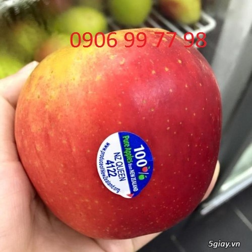 Bán táo Queen hàng nhập từ NZ và các loại trái cây khác giá tốt - 2