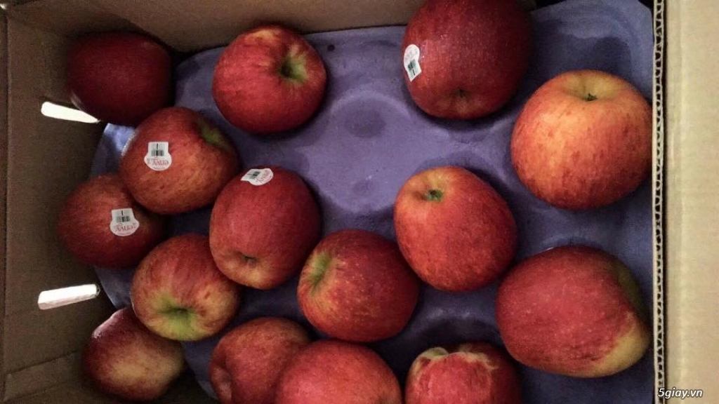 Bán táo Queen hàng nhập từ NZ và các loại trái cây khác giá tốt - 6
