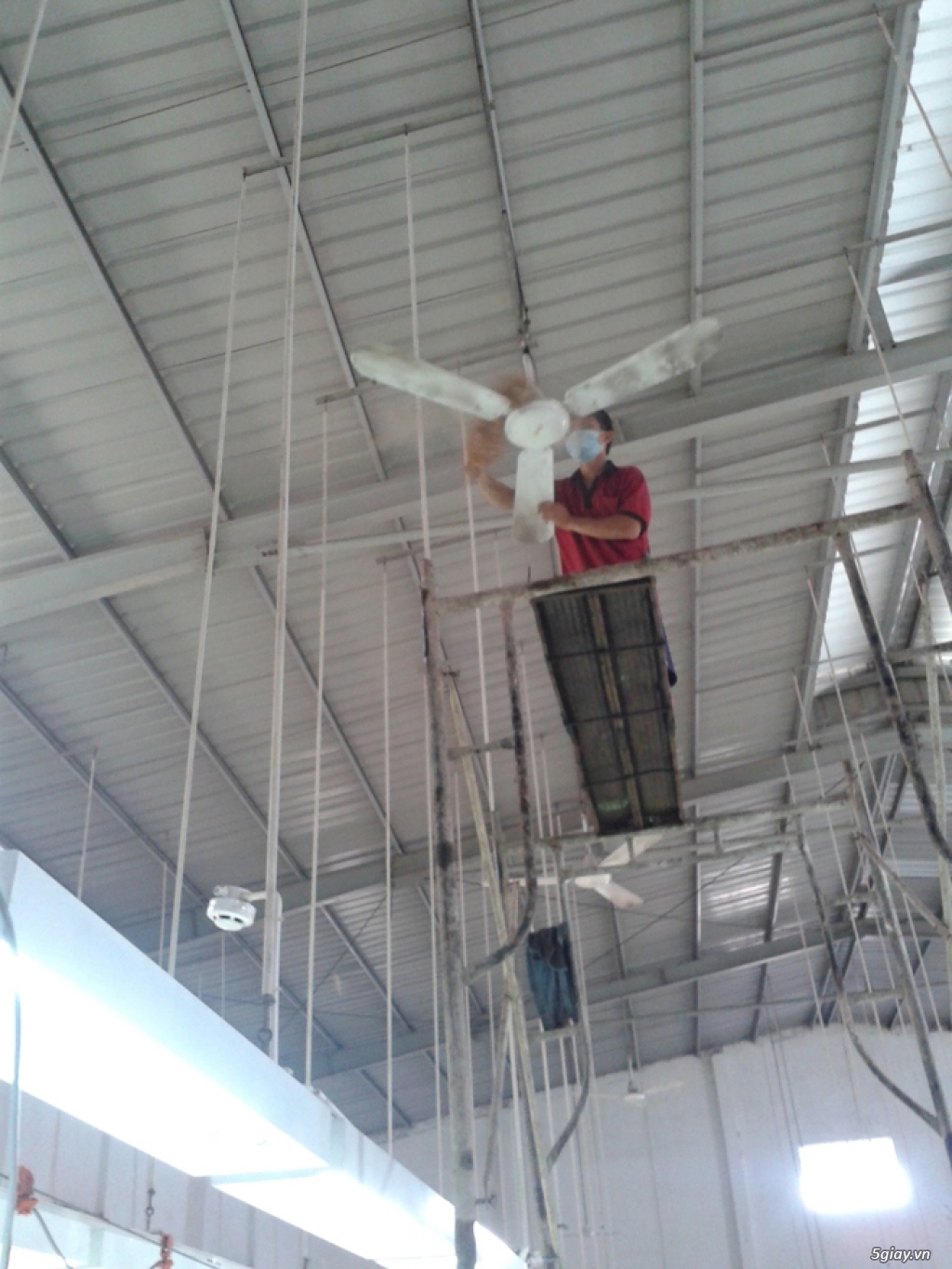 VỆ SINH NHÀ CỬA LONG AN, VỆ SINH NHÀ XƯỞNG Ở LONG AN