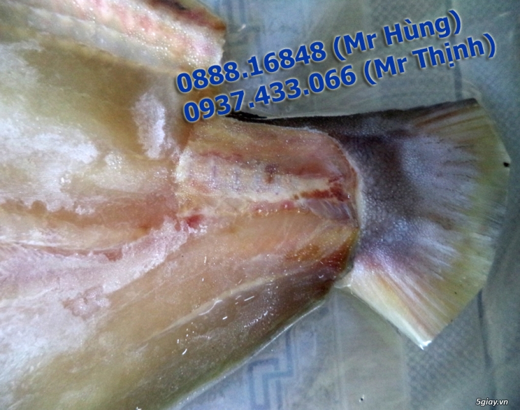 Cá Dứa Cần Giờ 1 nắng, cá Đù 1 nắng ngon bổ rẻ nhất HCMC - 10